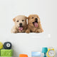 Fluffy Chow-chow Puppies Wall Decal