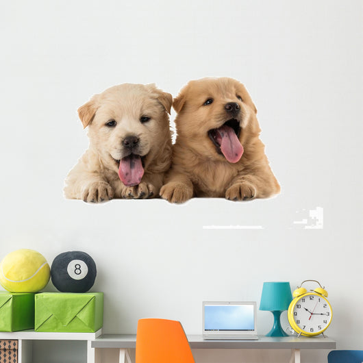 Fluffy Chow-chow Puppies Wall Decal