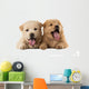 Fluffy Chow-chow Puppies Wall Decal