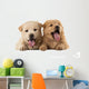 Fluffy Chow-chow Puppies Wall Decal