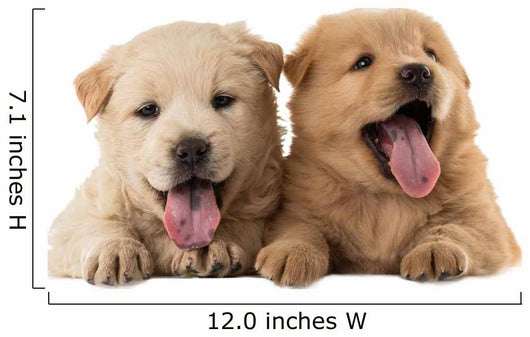 Fluffy Chow-chow Puppies Wall Decal