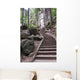 Staircase Elbe Sandstone Mountains Wall Decal