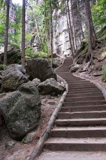 Staircase Elbe Sandstone Mountains Wall Decal