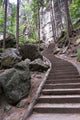 Staircase Elbe Sandstone Mountains Wall Decal
