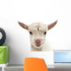 Small White Goat Wall Decal