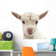 Small White Goat Wall Decal