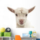 Small White Goat Wall Decal