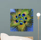 Up Seven Peacock Feathers Wall Decal