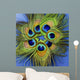 Up Seven Peacock Feathers Wall Decal