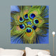 Up Seven Peacock Feathers Wall Decal