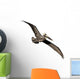 Flying Brown Pelican Wall Decal