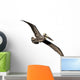 Flying Brown Pelican Wall Decal