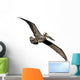 Flying Brown Pelican Wall Decal