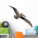 Flying Brown Pelican Wall Decal