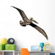 Flying Brown Pelican Wall Decal