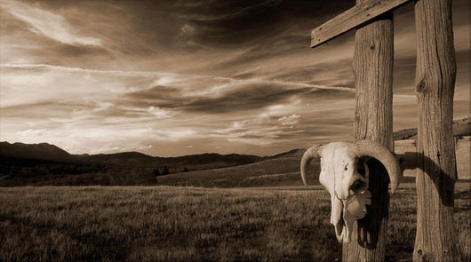Cattle Skull Hanging Ranchers Wall Decal
