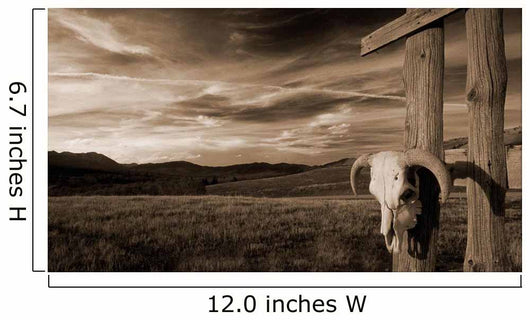 Cattle Skull Hanging Ranchers Wall Decal