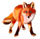 Red Fox Wall Decal