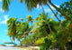 Polynesian Landscape Wall Decal