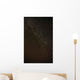 Star Wall Decal
