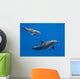 Dolphins Family Baby and Wall Decal