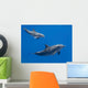 Dolphins Family Baby and Wall Decal
