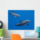 Dolphins Family Baby and Wall Decal