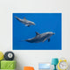 Dolphins Family Baby and Wall Decal
