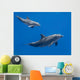 Dolphins Family Baby and Wall Decal