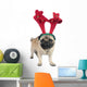 Christmas Pug Dog Wearing Wall Decal