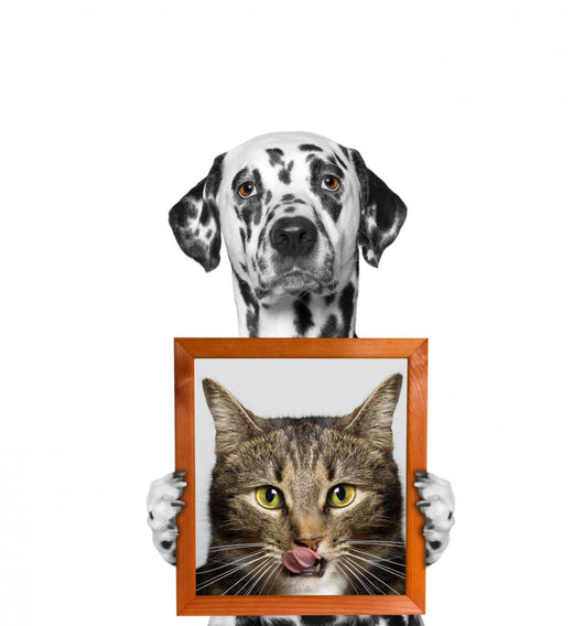 Hungry Dog Lover Wall Decal