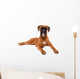 Beautiful Boxer Puppy Wall Decal