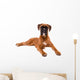 Beautiful Boxer Puppy Wall Decal