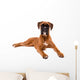 Beautiful Boxer Puppy Wall Decal