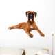 Beautiful Boxer Puppy Wall Decal