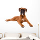 Beautiful Boxer Puppy Wall Decal