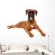 Beautiful Boxer Puppy Wall Decal