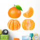 Orange Tangerine Fruit Wall Stickers