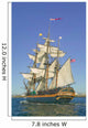 Tall Sailing Ship with Wall Decal
