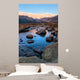 Thompson River Rocky Mountains Wall Decal