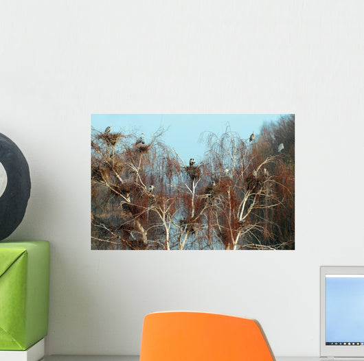 Reiherkolonie Am Main Graureiher Wall Decal