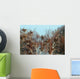 Reiherkolonie Am Main Graureiher Wall Decal