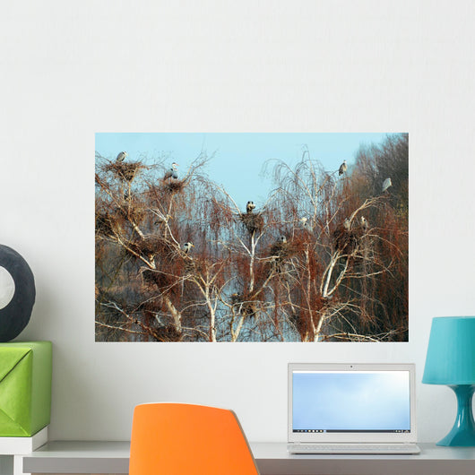 Reiherkolonie Am Main Graureiher Wall Decal