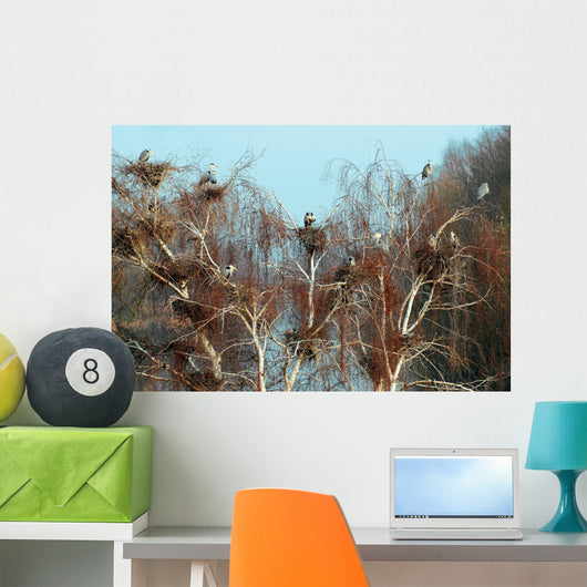 Reiherkolonie Am Main Graureiher Wall Decal
