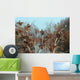 Reiherkolonie Am Main Graureiher Wall Decal