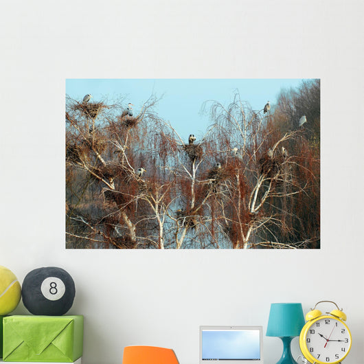 Reiherkolonie Am Main Graureiher Wall Decal