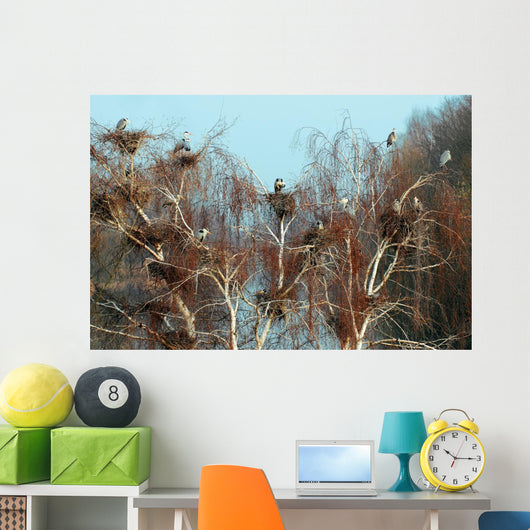 Reiherkolonie Am Main Graureiher Wall Decal