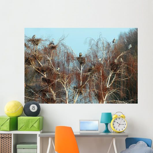 Reiherkolonie Am Main Graureiher Wall Decal