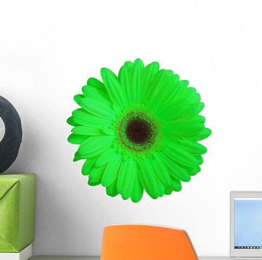 Green Gerber Daisy Flower Wall Decal