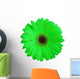 Green Gerber Daisy Flower Wall Decal